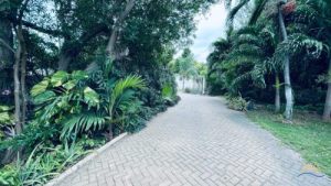 Goed onderhouden villa met tropische tuin - Julianadorp  Julianadorp
